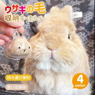 ＼期間限定1点最安650円・2点購入で／ウサギの毛収納ボトル ペット 遺毛 ケース 透明 ウサギ うさぎ 兎 4…