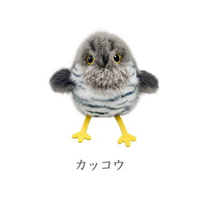 L  H΂ JbREEVWEJ USB[d  d ͂΂ Lߋ AȒ ^b`N qL̂ ʂ