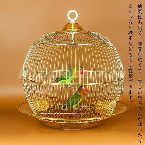  P[W ؃P[W 傫P[W o[hP[W o[hpX IEP[W ͂ uRt  CR S[h 38×38cm