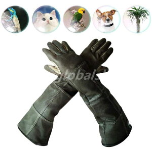 yzybg ybgph~ ybgO[u vی h ybg̓ ~⊚݂h~ | ϔM  ՂɋS60cm