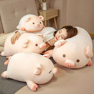 40cm -100cmԐlC Mtg u^  ʂ    _炩 q ޏ 킢   YQ  j v[g RR