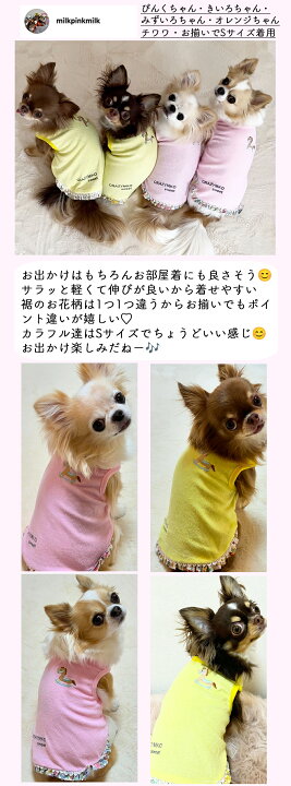 楽天市場】ポイント10倍☆春先にぴったり！【伸びよく着心地抜群 