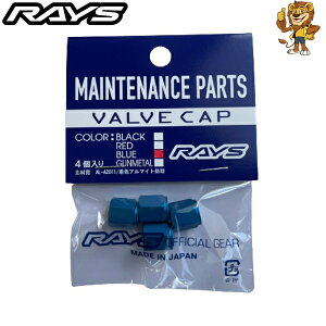 RAYS CY j[S A~GAouLbv 41Zbg u[ [݌ɂ葦[] 74150000401BL Ki