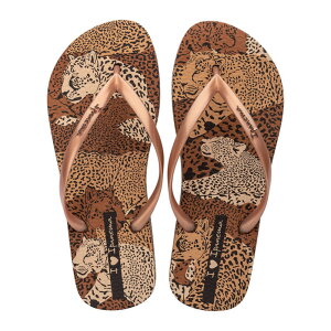 Cpl}T_ (IPANEMA SANDAL) Aj}vggOr[`T_ IPANEMA ANIMAL PRINTVI BEACHSANDAL@x`Xj[J[ amazon 􂢕 Ɉ ₷  r[T gOT_ C v