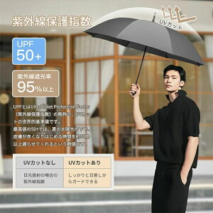 ՔM Ռ amP  uvJbg n a133cm 傫P P Wv fB[X P JP 8{ P Y