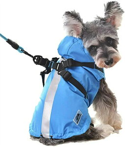 ̕CR[gybgpi|`^^hCMAyʃt@bVXqł킢˃e[v