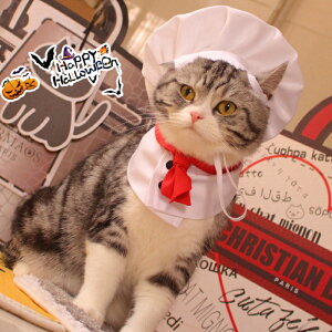 nEB RXvߑ ybg VFt RX`[  Lbv  ʔ RX`[ Xq  L RXv ybgRXv L ^p ϐgObY ybg nEB 