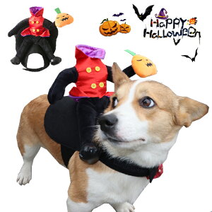 nEB RXvߑ ybg J{` L  RX`[  L RXv ڂ ybgRXv L ^p ϐgObY ybg nEB 蕨 ybg Lϐg 