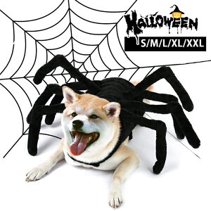 nEB RXvߑ ybg w  RX`[ N w  L RXv ̃RX`[ ybgRXv nEB L ^p ϐgObY RX`[ ybg n