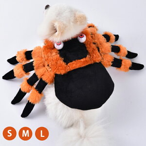 nEB RXvߑ ybg w  RX`[ N w  L RXv ̃RX`[ ybgRXv nEB L ^p ϐgObY RX`[ ybg n