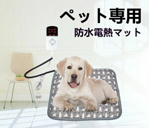 ybg zbgJ[ybg  L ^ ybgq[^[ 3iK^C}[ 9iKx L zbg}bg ybgp q[^[ p^ dCq[^[ dCѕz  L ybgp dCzbg}bg 