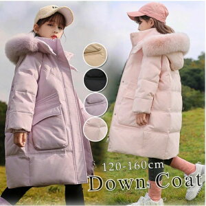 _ER[g q ̎q _EWPbg _ER[g h WPbg q  ̎q tFCNt@[ t[ht ʊw LbY h H~ WjA AE^[ ~ ʉ AEghA 