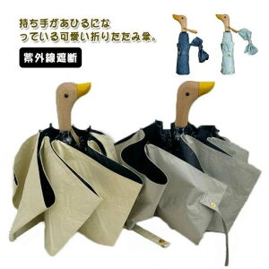 Aq ܂肽ݎP Jbg ܂ݎP JP Jp 킢  y P Aq Aq 蓮 fB[X Y OՒf Aj}  Ђ 傫