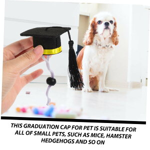 ȃybg̖Xq q̑ƈߑ ƃp[eB[pi ybg̑ƖX nX^[Lbv ybgRX`[ANZT[ ~j  wbhMA `` ȖXq  