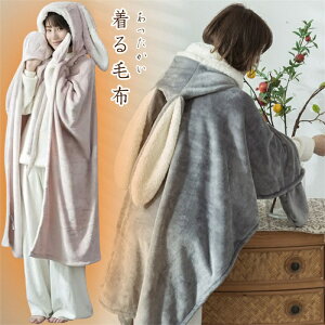 ѕz [EGA ӂӂ  q uPbg Y 唻 t[ht   ѕz ~p   킢 t H ~ h ۉ ې Q ѕz