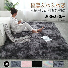 SNS大人気 ふわふわ ラグ 洗える ラグマット 160×200cm/200×250cm 洗えるカーペット 滑り止め付 リビング シャギーラグ ホットカーペットカバー 絨毯 洗濯可 ムートン 調 サイズ多種対応 秋 冬 リビング
