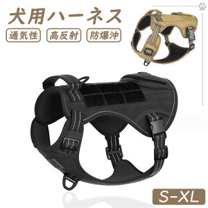 pn[lX   EȂ ^ ^ p   ȒP  y S  Ȃ n[lX ɂ bV ybg \tgxXgS M L XL TCY ybgpi h