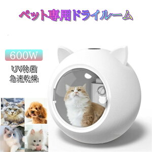 ybgphC[ } É Â I[V[Y nYt[ hC[{bNX  ix |J|JybgphC[ ybg  e ybg{