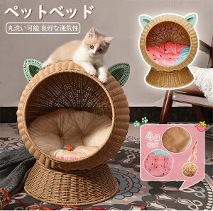 猫 ベッド ラタン 夏用 ペットベッド 4点set ドーム型 猫ハンモック ペットベッド 猫ちぐら風 ペットマット ハンギングチェア 爪とぎ対応 洗える 丸洗い可能