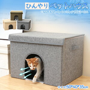 ybgnEX  Ђ ybgnEX ⊴ ybgxbh ėp nEX LnEX ۗ ybgxbh L xbh xbh ėp [{bNX ΍ ybgpnEX N[  ⊴ 