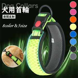   ybg  _炩 p  ̎ y 炩 ^ ^   U ɂȂ y p _炩 \tgpbh bV `[J[ ^  