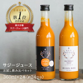 サジー お試し 飲み比べ2本セット 360ml×2本 ストレート サジージュース 鉄分 シーベリー 100% 鉄分ドリンク 健康ドリンク アミノ酸 グアマラル 鉄分不足 健康 美容 鉄分補給 栄養補給 健康食品 沙棘 健康 ビタミンC 無添加 モンゴル