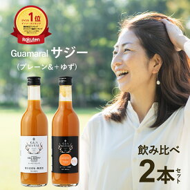 サジー お試し サジージュース 飲み比べ2本セット 360ml×2本 鉄分 シーベリー 100% ゆず 健康ドリンク アミノ酸 鉄分不足 プレゼント 鉄分 健康飲料 美容 プチギフト 母の日 プレゼント 贈り物　ビタミンC 無添加 プレゼント