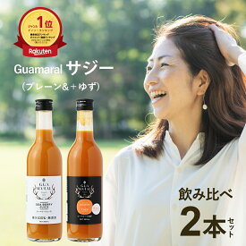 サジージュース お試し サジー 鉄分 シーベリー 100% ストレート ゆず味 飲み比べ2本セット 360ml ×2 鉄分ドリンク 健康ドリンク グアマラル 鉄分不足 元気 健康 美容 鉄分補給 栄養補給 健康食品 沙棘 健康飲料 ビタミンc