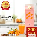 サジージュース 1000ml 1本 グアマラルサジー シーベリー サジー 鉄分 健康 栄養ドリンク モンゴル産 健康飲料 健康 妊婦 葉酸 アミノ酸 沙棘 鉄分 母の日 プレゼント 贈り物 グアマラル定期便 黄酸汁 サジー 飲みやすい 自然由来