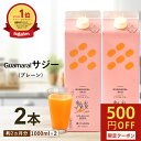 サジー ジュース 1000ml 【2本セット】プレーン サジージュース グアマラルサジー シーベリー サジー 鉄分 健康 栄養 美容ドリンク 無添加 鉄分補給 栄養補給 健康食品 ビタミンc 妊婦 葉酸 アミノ酸 黄酸汁 モンゴル産