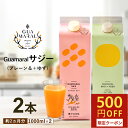 サジージュース 1000ml ストレートと＋ゆず 各1本【2本セット】シーベリー サジー 紙パック 鉄分 鉄分ドリンク 健康 美容ドリンク 健康飲料 鉄分不足 元気 健康 美容 鉄分補給 栄養補給 葉酸 アミノ酸 グアマラル定期便