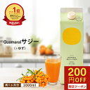 サジー ジュース ＋ゆず 1000ml 1本 サジージュース ゆず味 柚子 サジーゆず グアマラルサジー シーベリー サジー 鉄分 モンゴル産 健康 栄養 美容 葉酸 アミノ酸 プレゼント サジージュース紙パック 黄酸汁 飲みやすい 自然由来