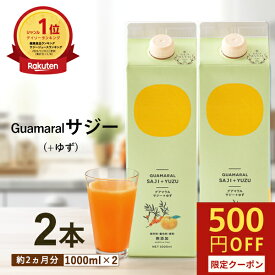 サジー ジュース ＋ゆず 1000ml 【2本セット】サジージュース ゆず味 柚子 グアマラルサジー シーベリー サジー 鉄分 健康 栄養 美容 健康飲料 鉄分補給 健康食品 妊婦 葉酸 黄酸汁 モンゴル産 サジー 飲みやすい 自然由来