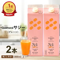 サジー ジュース 1000ml 【2本セット】プレーン サジージュース グアマラルサジー シーベリー サジー 鉄…