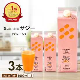 サジー ジュース 1000ml 【3本セット】プレーン グアマラルサジー シーベリー サジー 鉄分 健康ドリンク 栄養ドリンク 美容ドリンク 無添加 健康飲料 鉄分補給 栄養補給 黄酸汁 ビタミンc 妊婦 葉酸 アミノ酸 沙棘 グアマラル モンゴル産