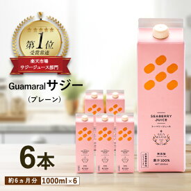 サジージュース 1000ml 【まとめ買6本セット】シーベリー サジー 紙パック 鉄分 鉄分ドリンク 健康ドリンク 栄養ドリンク 美容ドリンク 無添加 健康飲料 鉄分不足 健康 美容 鉄分補給 栄養補給 さじー saji ビタミンC 美容