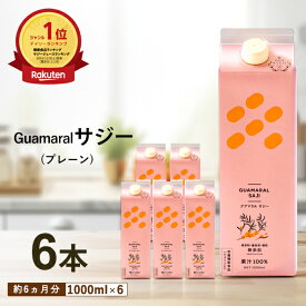 サジー ジュース 1000ml 【6本セット】プレーン グアマラルサジー シーベリー サジー 鉄分 健康ドリンク 栄養ドリンク 美容ドリンク 無添加 健康飲料 健康 鉄分補給 栄養補給 健康食品 ビタミンc 妊婦 葉酸 アミノ酸 オレンジ 沙棘 鉄分