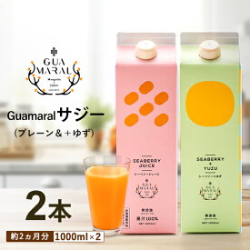 サジージュース 1000ml ストレートと＋ゆず 各1本【まとめ買2本セット】シーベリー サジー 紙パック 鉄分 鉄分ドリンク 健康ドリンク 美容ドリンク 無添加 健康飲料 鉄分不足 元気 健康 美容 鉄分補給 栄養補給