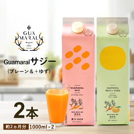サジージュース 1000ml ストレートと＋ゆず 各1本【2本セット】シーベリー サジー 紙パック 鉄分 鉄分ドリンク 健康 美容ドリンク 健康飲料 鉄分不足 元気 健康 美容 鉄分補給 栄養補給 葉酸 アミノ酸 グアマラル定期便