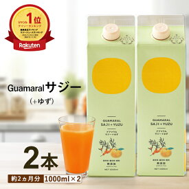 サジー ジュース ＋ゆず 1000ml 【2本セット】ゆず味 柚子 グアマラルサジー シーベリー サジー 鉄分 健康ドリンク 栄養ドリンク 美容ドリンク 無添加 健康飲料 鉄分補給 健康食品 ビタミンc 妊婦 葉酸 アミノ酸 沙棘 黄酸汁 モンゴル産