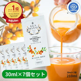 サジージュース パウチタイプ 7個セット スティック 持ち運び シーベリー 鉄分 鉄分ドリンク 健康ドリンク 栄養ドリンク 無添加 健康飲料 鉄分不足 元気 健康 美容 鉄分補給 栄養補給 沙棘 スーパーフード ビタミンc 妊婦 葉酸 アミノ酸 母の日 プチギフト プレゼント