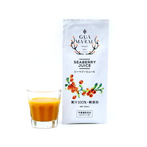 サジージュース パウチタイプ (単品) スティックタイプ お試し用 シーベリー シーべリージュース 鉄分 鉄分ドリンク 健康ドリンク 栄養ドリンク 美容ドリンク 無添加 グアマラル 健康飲