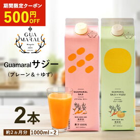 サジージュース 1000ml ストレートと＋ゆず 各1本【2本セット】シーベリー サジー 紙パック 鉄分 鉄分ドリンク 健康 美容ドリンク 健康飲料 鉄分不足 元気 健康 美容 鉄分補給 栄養補給 葉酸 アミノ酸 グアマラル定期便 母の日