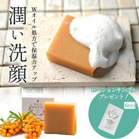 サジー 石鹸 せっけん シーベリーソープ 100g ギー 石けん 全身用 洗顔用 潤い ソープ 無添加 毛穴 透明感 角質 洗顔石鹸 固形石鹸 敏感肌 乾燥肌 低刺激 保湿 顔ダニ 顔用 身体用 全身 女性 男性 子供用 赤ちゃん ギフト 贈物 スキンケア フェイスウォッシュ