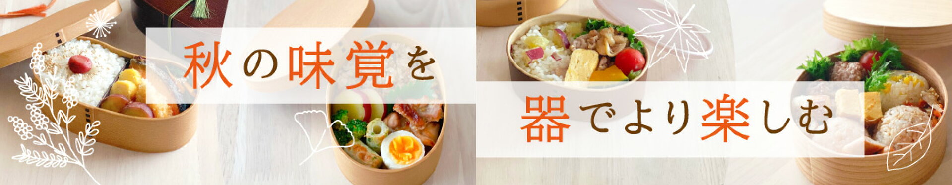 わっぱ 弁当箱 わっぱ風 お弁当箱 秋 食器