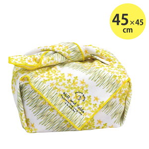 Hill and Fields ` NX `NX ٓ ̎q l  itL H wZ ct q CG[X^WI [M 1/4] [72277]