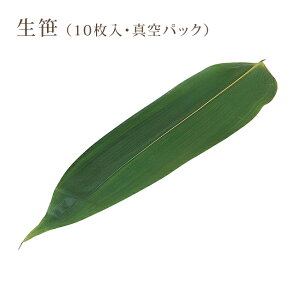 y݌Ɍz M ^pbN 10  aH a  Ԍ d   o ĂȂ VRf Ɩp }R[ [M 1/1] [15547]