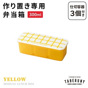MODULE LUNCH BOX Obh S ٓ ٓ q l jq 1i 300ml t[hRei ۑe  uٓ Ⓚٓ XgbN q d؂t {  킢 Vv 