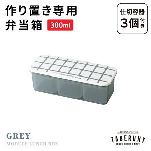MODULE LUNCH BOX Obh S ٓ ٓ q l jq 1i 300ml t[hRei ۑe  uٓ Ⓚٓ XgbN q d؂t {  킢 Vv 