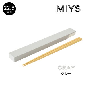 MIYS ( ~[X )  E  Zbg 22.5cm ͂ q  킢 H l wZ }C Jg[  XCh ؐ  [M 1/4] [14011]